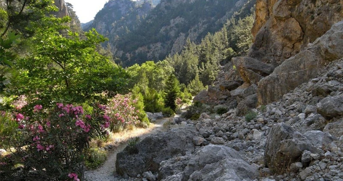 Ηλικιωμένος Γάλλος εξαφανίστηκε στο φαράγγι της Ζάκρου στην Κρήτη